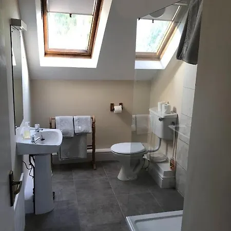 Temple Loft Apartment Moate